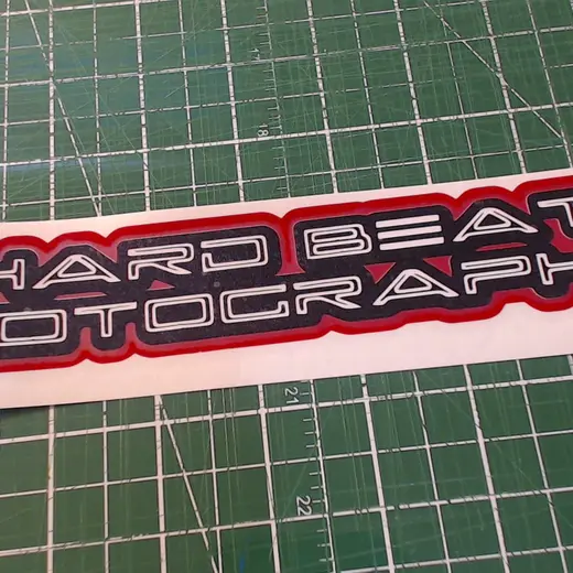 Custom die-cut vinyl decal work by Signs613 — example 4