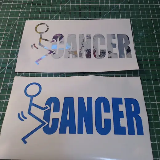 Custom die-cut vinyl decal work by Signs613 — example 6
