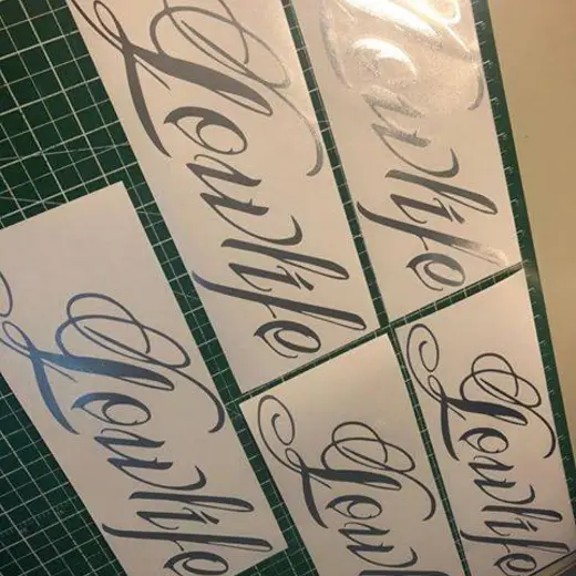 Custom die-cut vinyl decal work by Signs613 — example 10