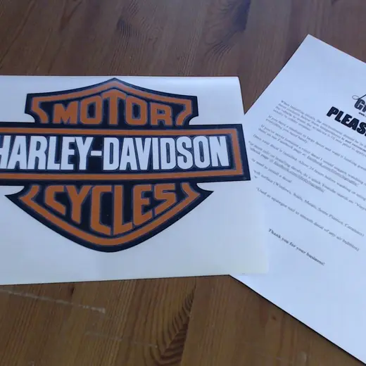 Custom die-cut vinyl decal work by Signs613 — example 14