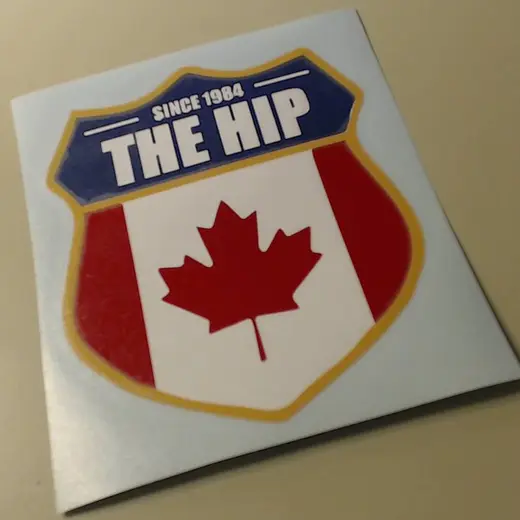 Custom die-cut vinyl decal work by Signs613 — example 15