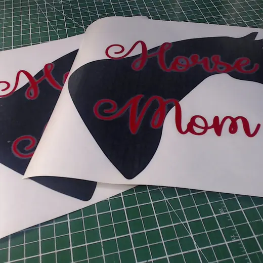 Custom die-cut vinyl decal work by Signs613 — example 17