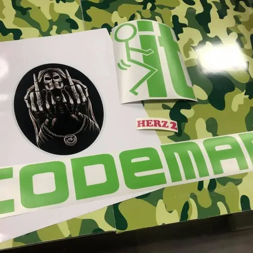 Custom die-cut vinyl decal work by Signs613 — example 19