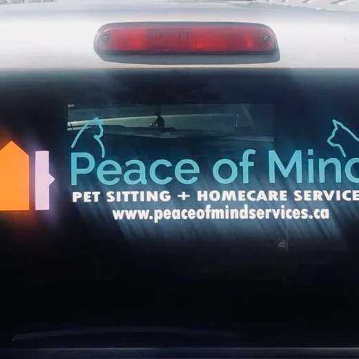 Printed rear-window graphics on a business vehicle by Signs613